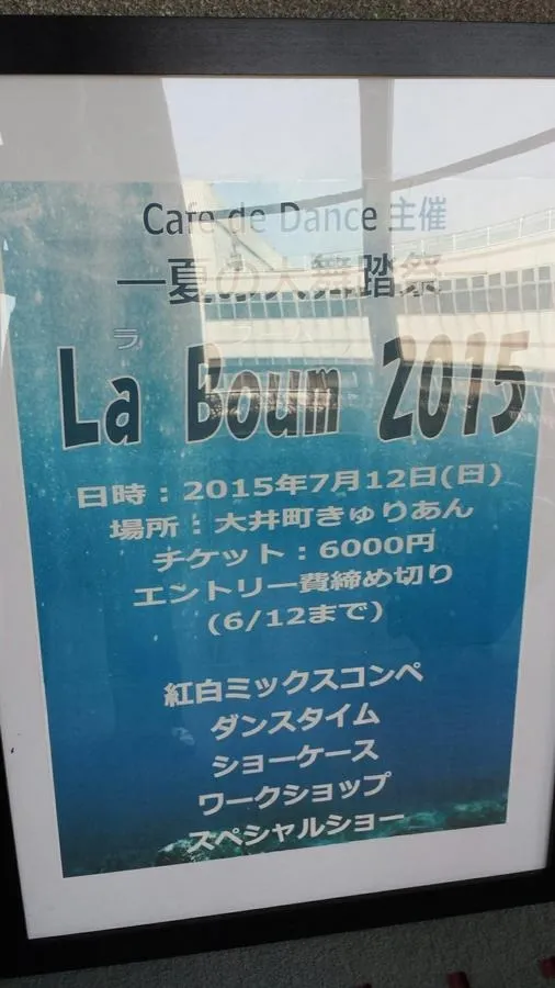 LA Boum 2015 （*⌒∇⌒*)♪